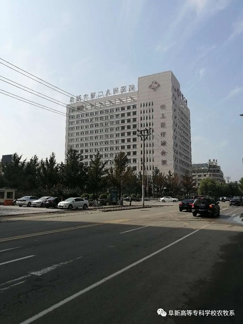 1601346319457169.jpg image006.jpg