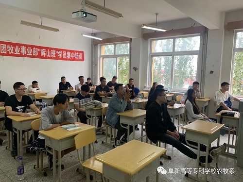 1601348898130567.jpg 3.webp.jpg