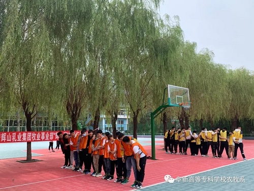 1601349084912531.jpg 8.webp.jpg