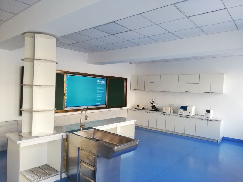 1608621970115656.jpg 寵物中央處置室.jpg