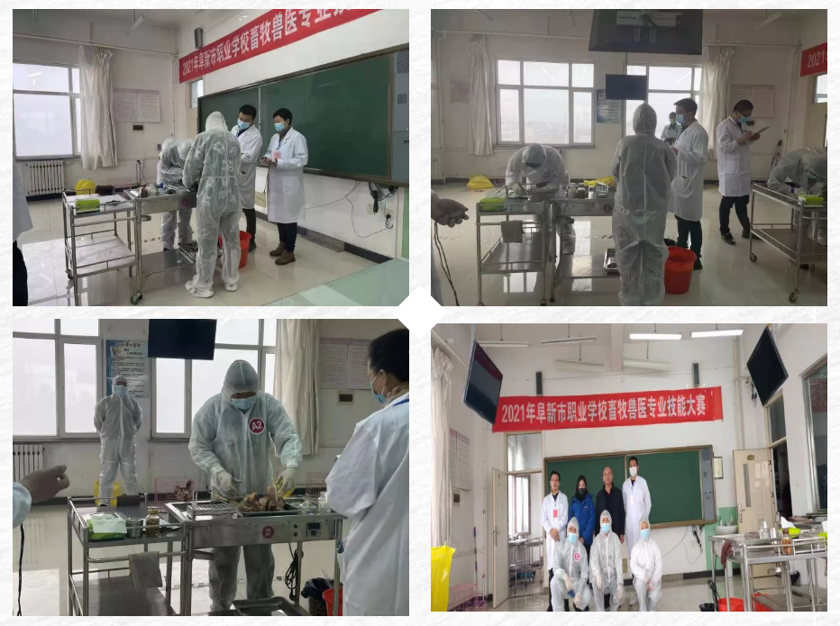 1642513721394128.png 6.png