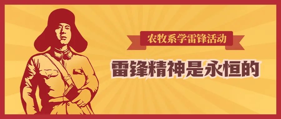 1648051296465044.jpg 6.jpg