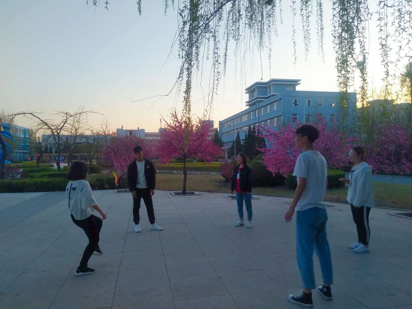 1642905903848887.jpg 踢毽子1.jpg