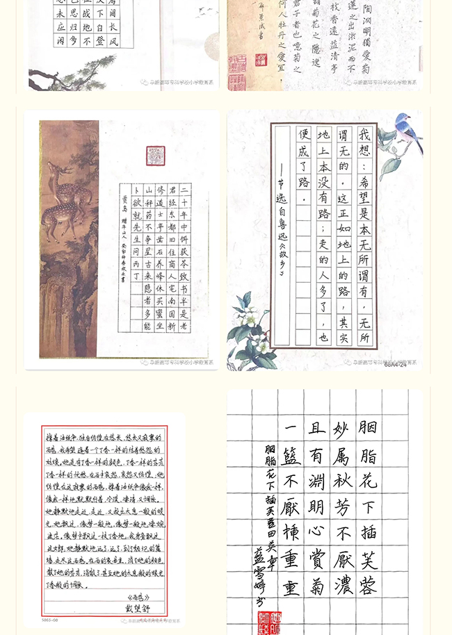 1682246740138562.jpg 1_03.jpg